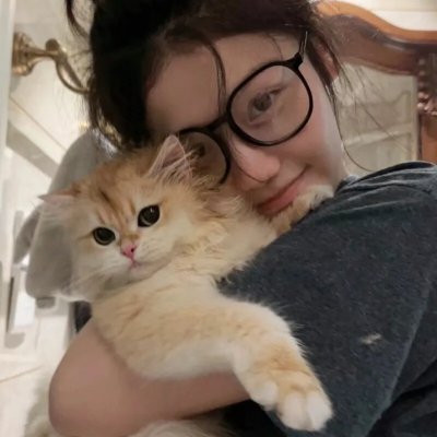 牢笼的熊