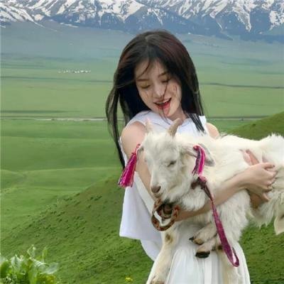 李瑞镇的纽约纽约2